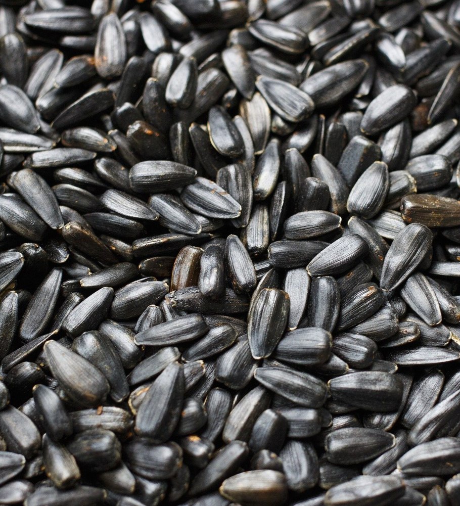 Семена подсолнечник орешек семена подсолнечник орешек