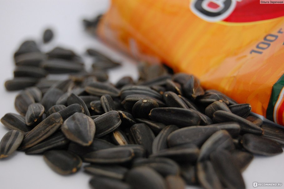 Семена Пионер подсолнечника масляничных