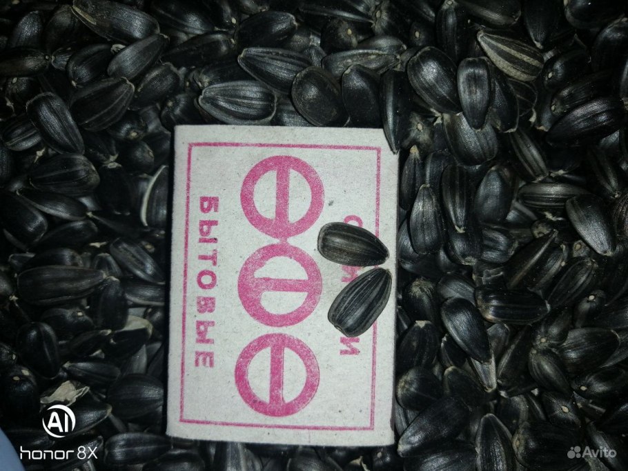 Семечки большая семечка