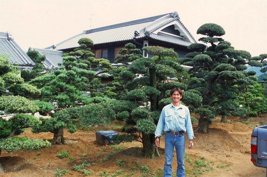 Пересадка крупномеров техника