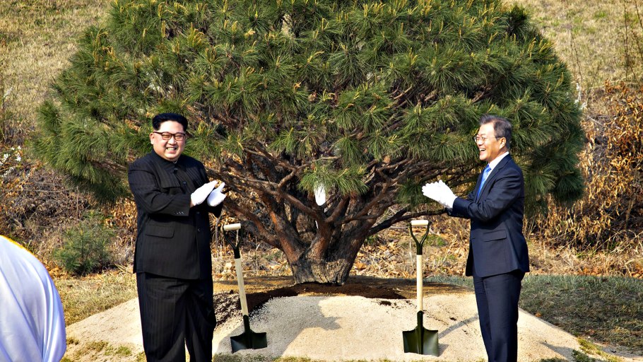 Сохранение деревьев при строительстве