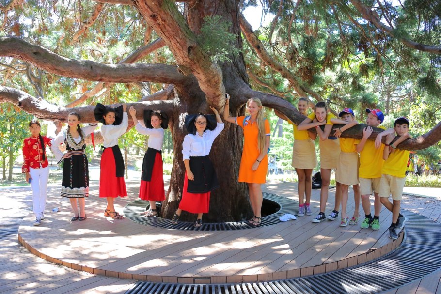 Артек дерево дружбы