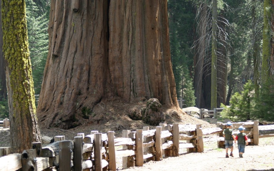 Писатели которые были в Артеке