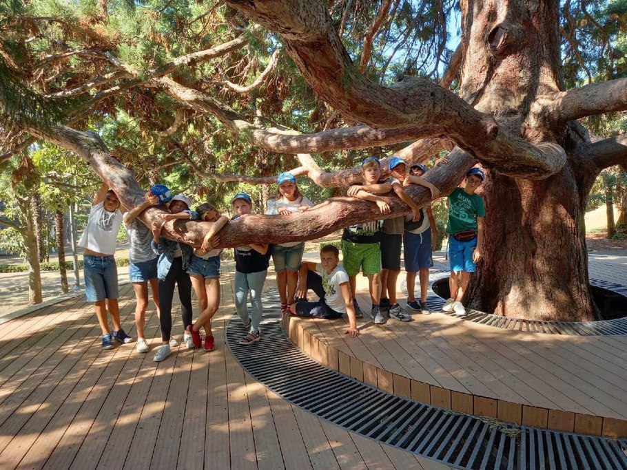 Артек морской дерево желаний