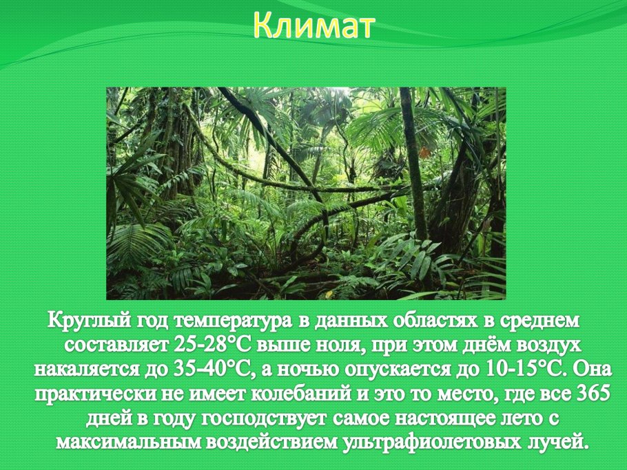 Тропический лес Фиджи