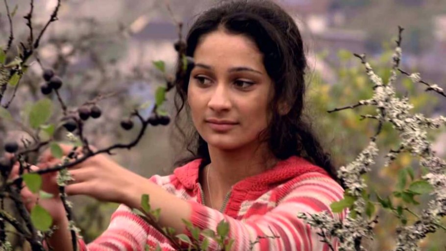 Роза флорибунда Румба