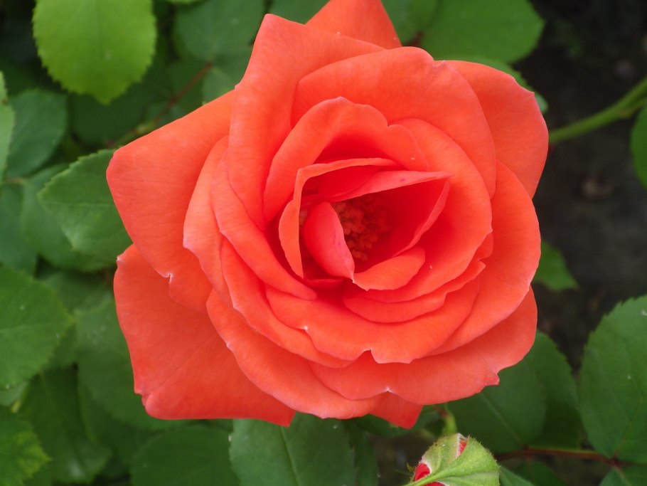 Сарафан в цыганском стиле