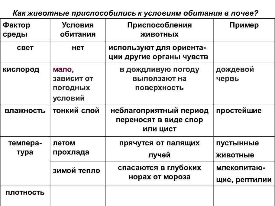 Особенности приспособления животных к условиям среды обитания