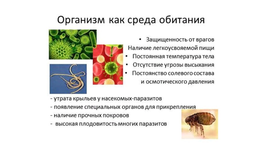 Экологический критерий вида характеризуется