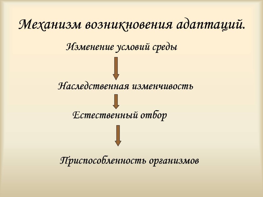 Факторы среды примеры