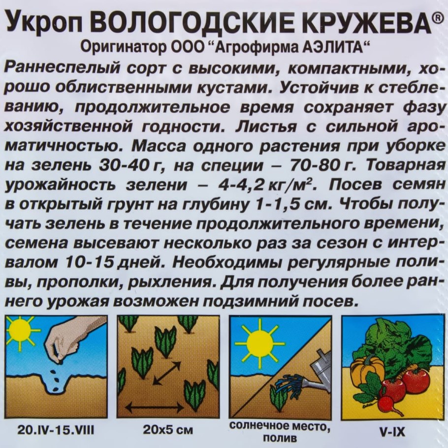 Укроп вологодские кружева описание сорта