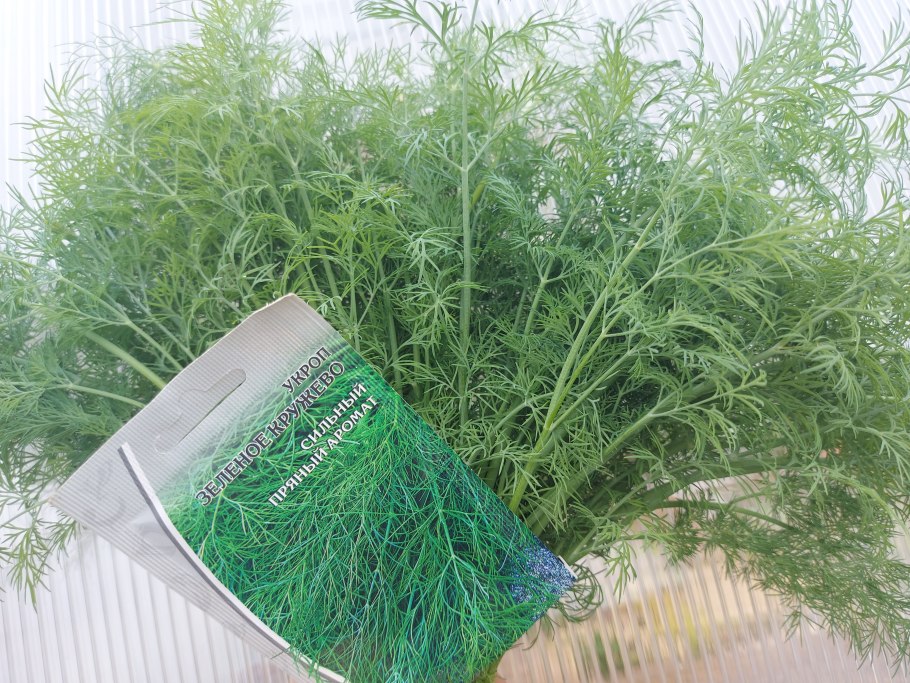 Стевия медовая травка Гавриш 7 шт