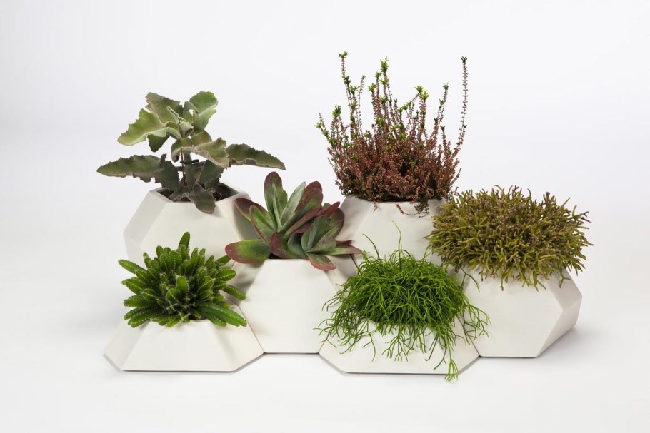 Композиции из растений в интерьере