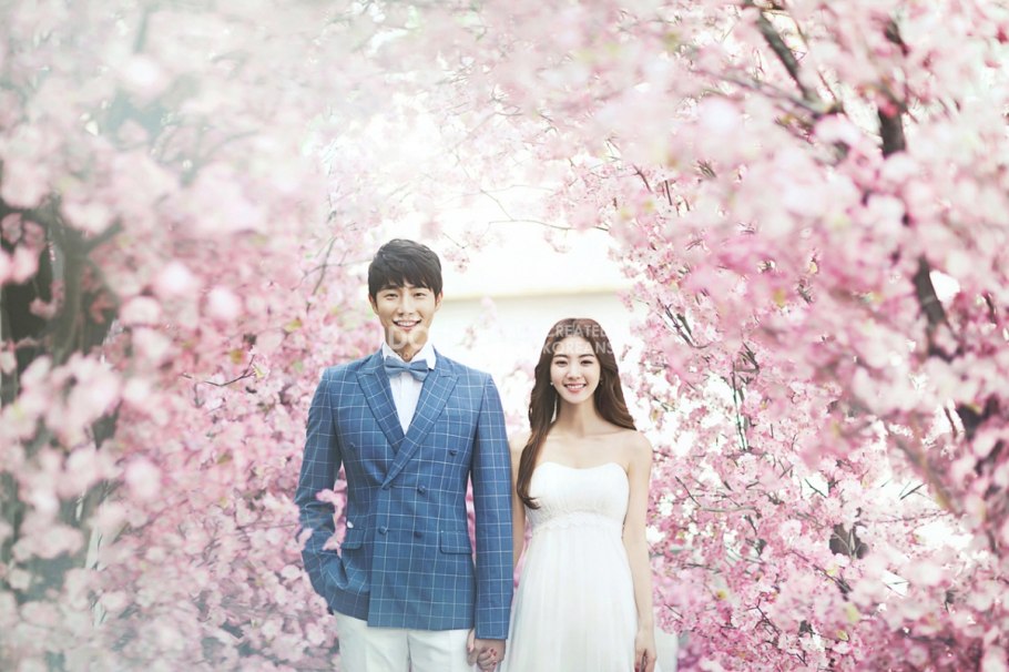 Цветение вишни Ухань