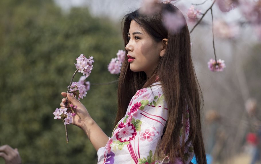 В Китае цветет Сакура