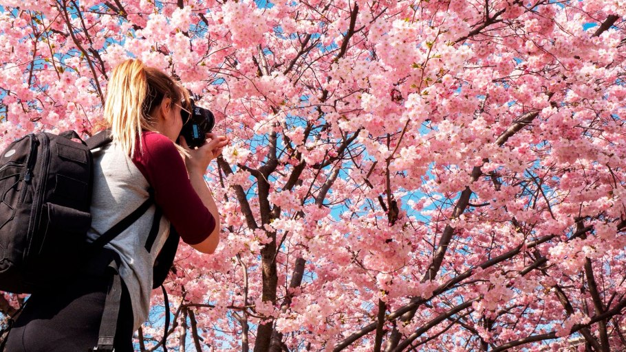 Духи cerisier en fleurs Yves Rocher