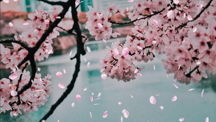 Азиатка съемка