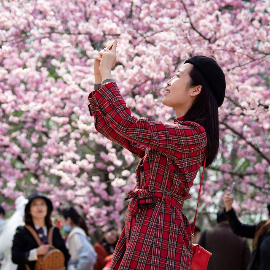 Девушка в вишнях цветущих