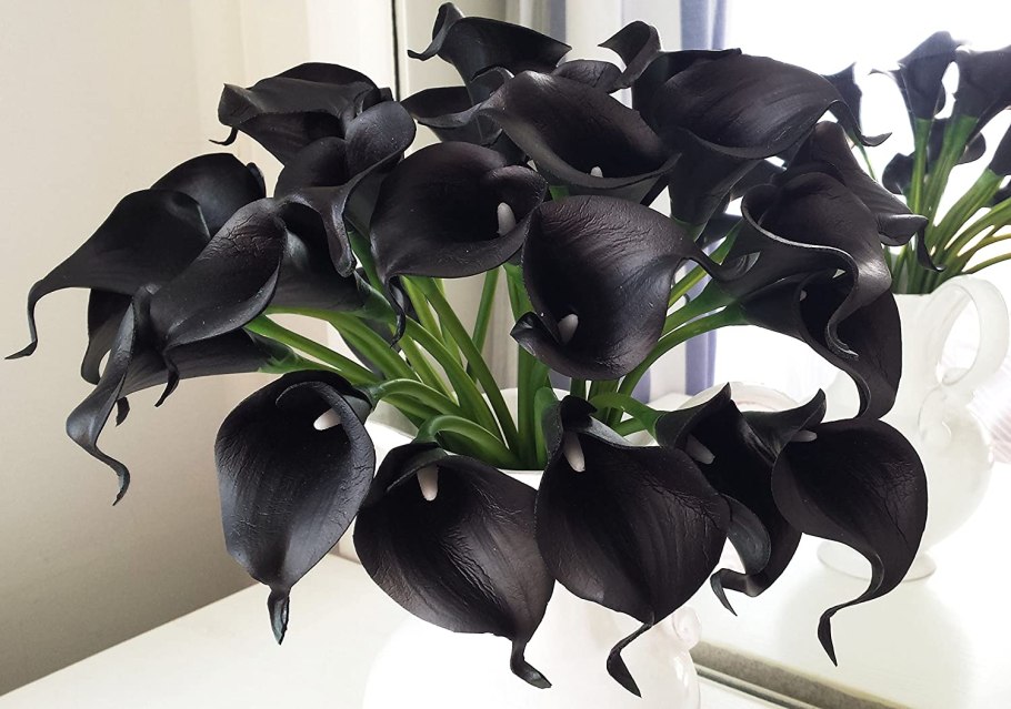 Калла эфиопская Росток