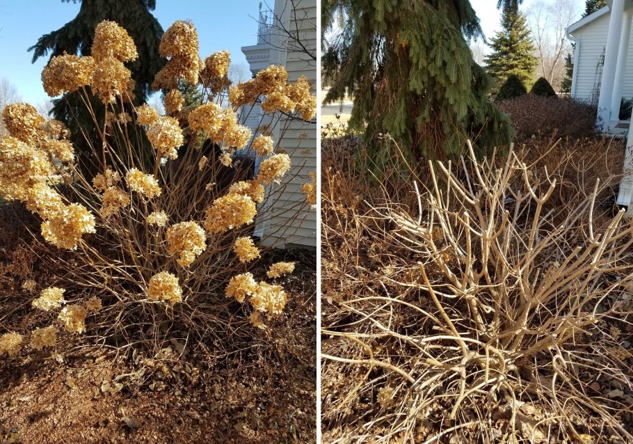 Посадка елочек