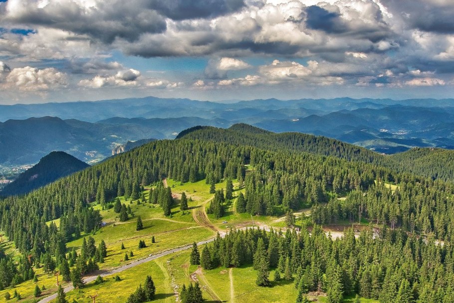 Леса Болгарии фото