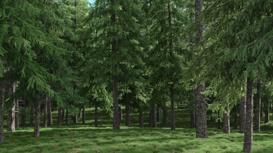 Лесные ресурсы Марий Эл