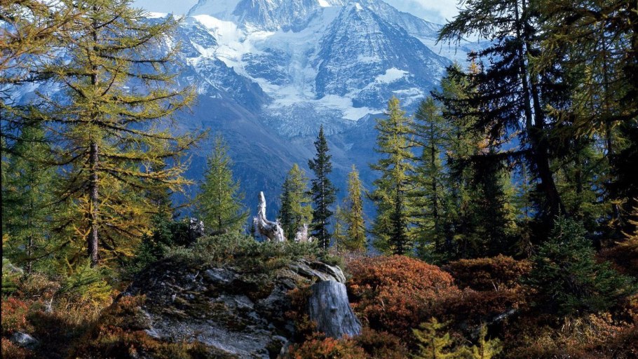 Ставрополье широкая Долина реки горы сосны