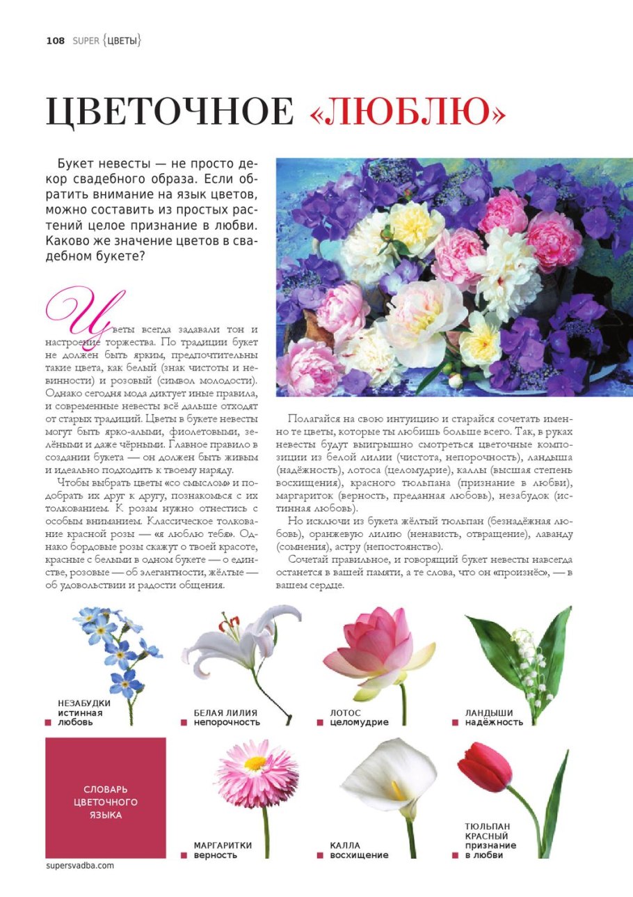 Названия садовых цветов с картинками