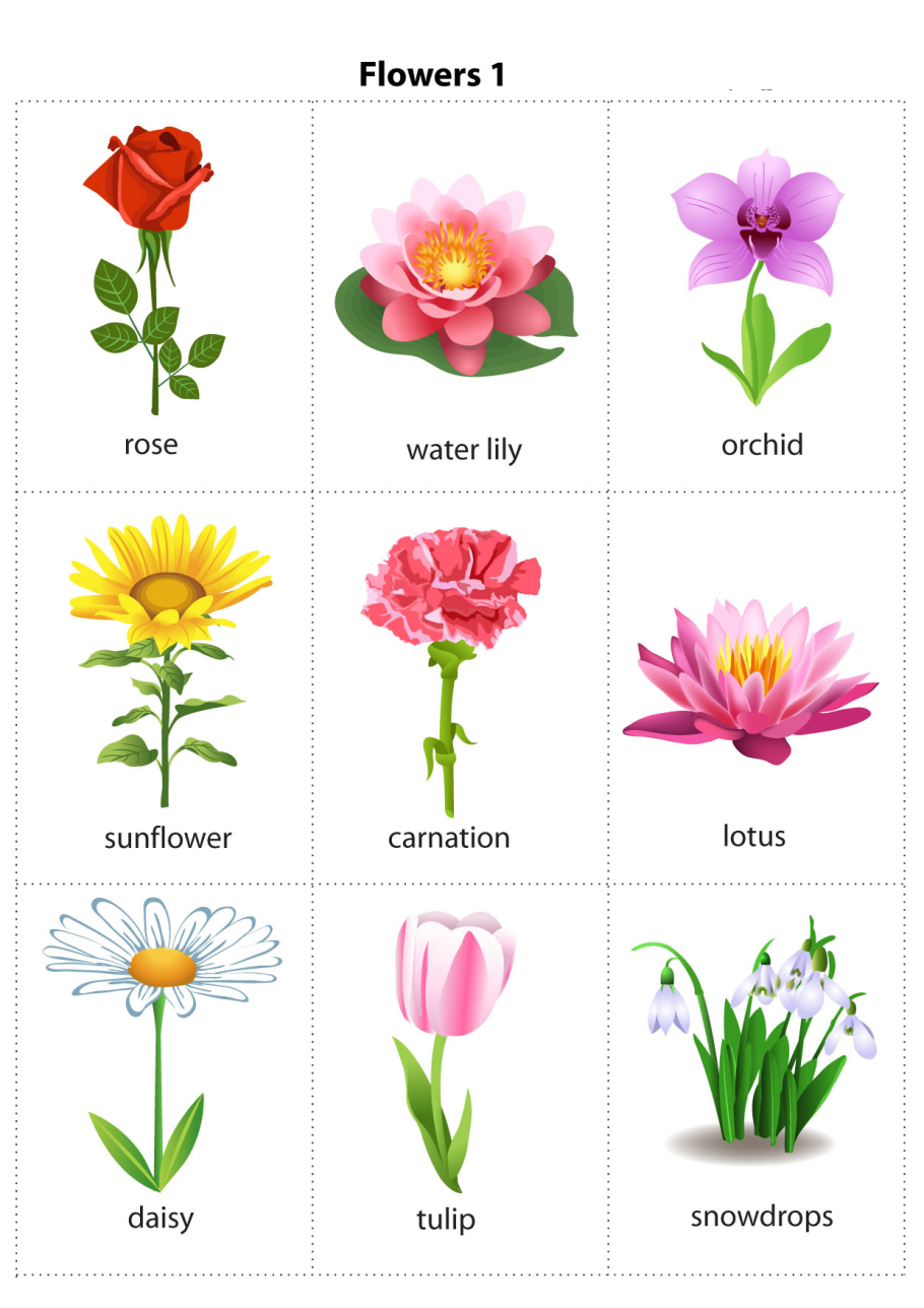 Астра Ювел микс 0,2гр.п