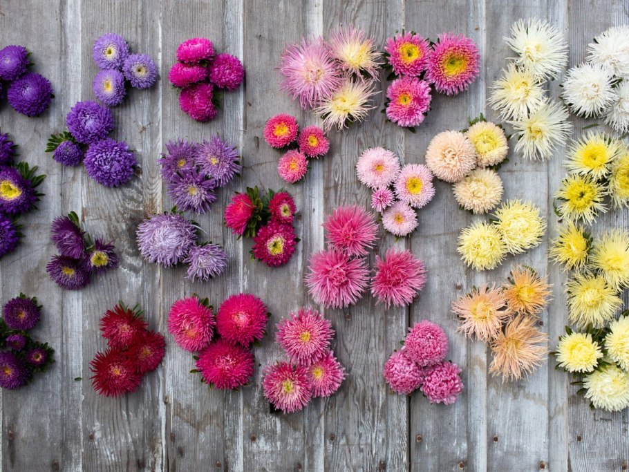 Викторианский язык цветов