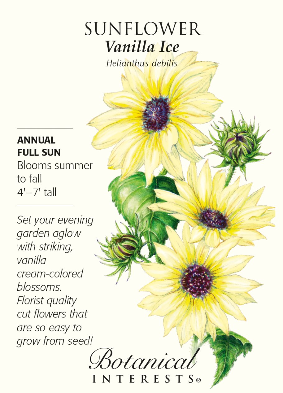 Язык цветов июль цветок