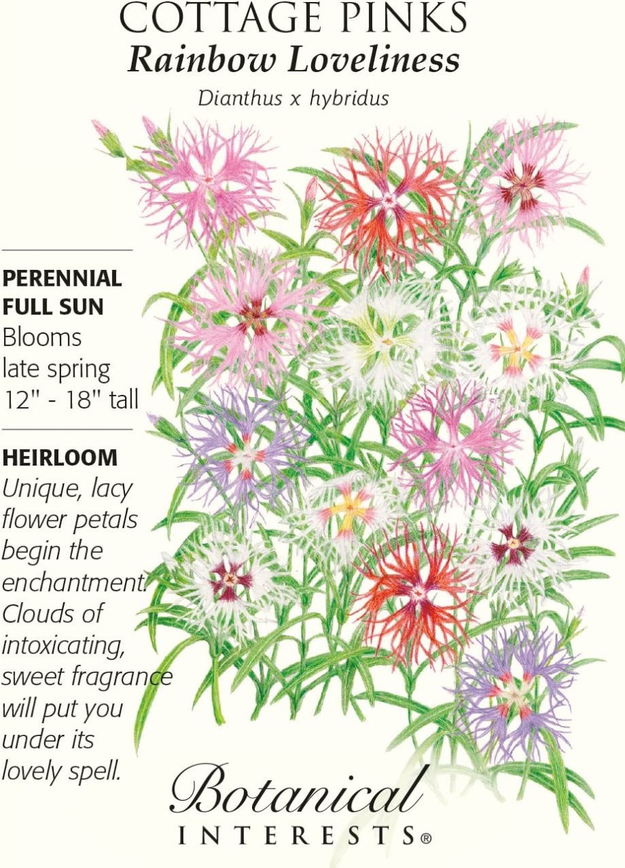 Карточка Астра для детей