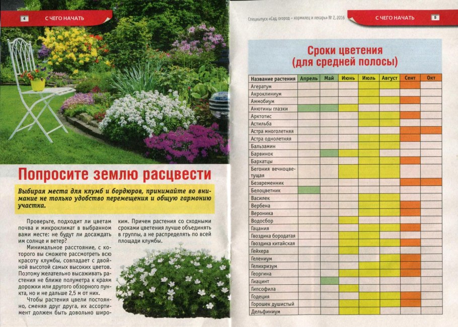 Сроки цветения многолетних цветов по месяцам таблица
