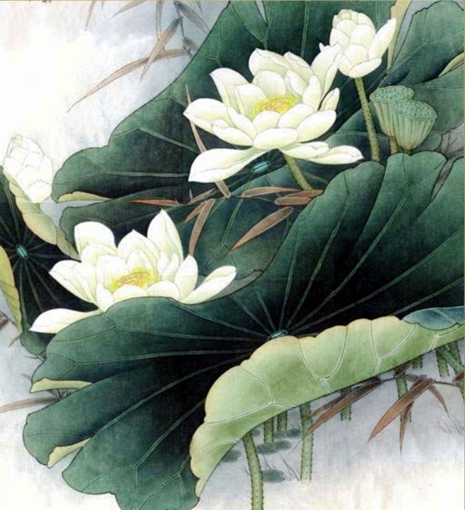 Жизель Ненюфары