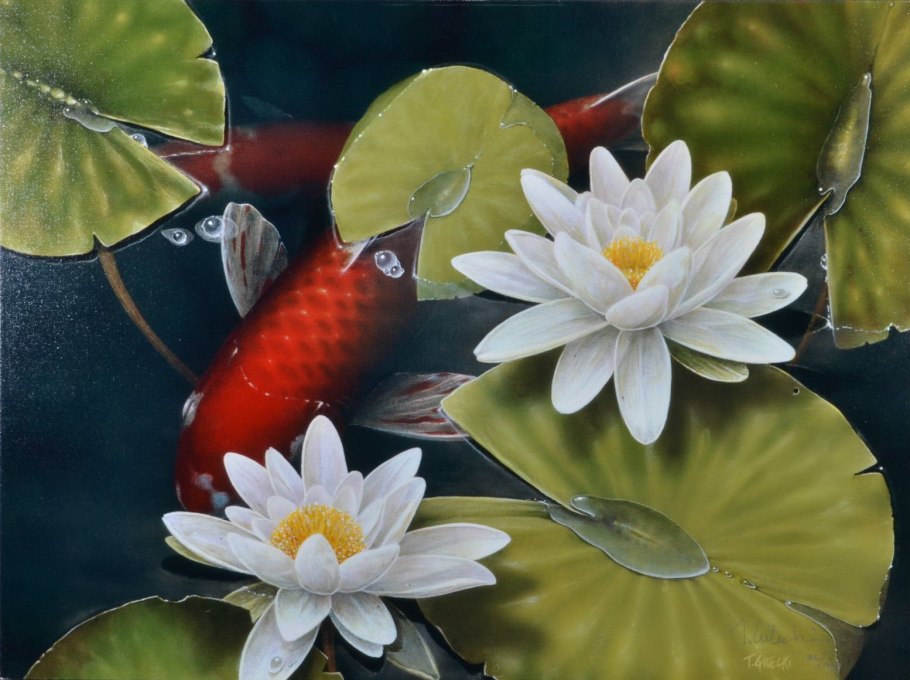 Лотосы лилии кувшинки озеро