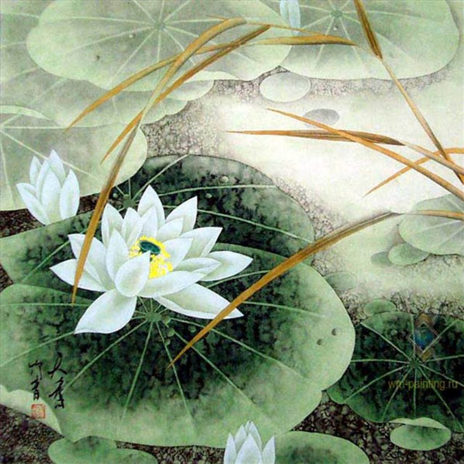 Цветы и листья лотоса в гохуа