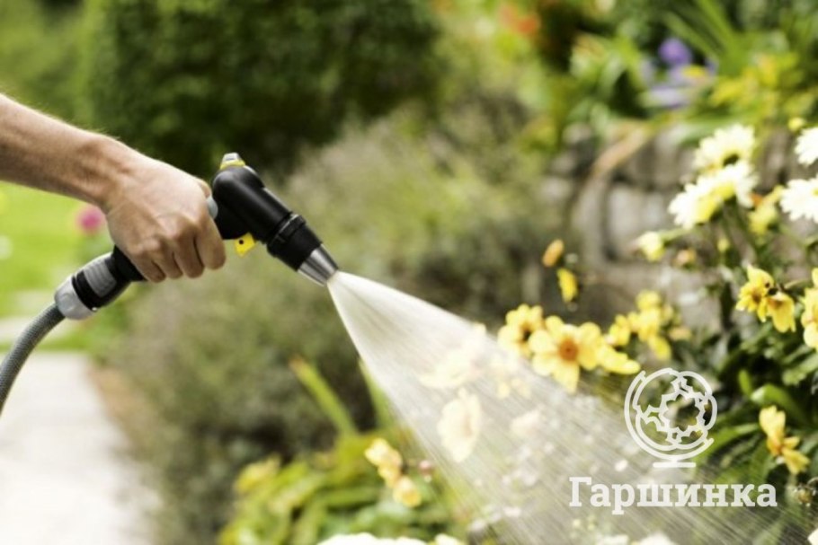 Полив домашних цветов