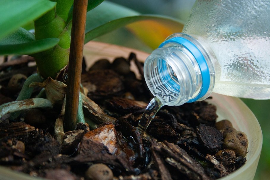 Горшечная лейка Садовая нержавеющая сталь 500мл