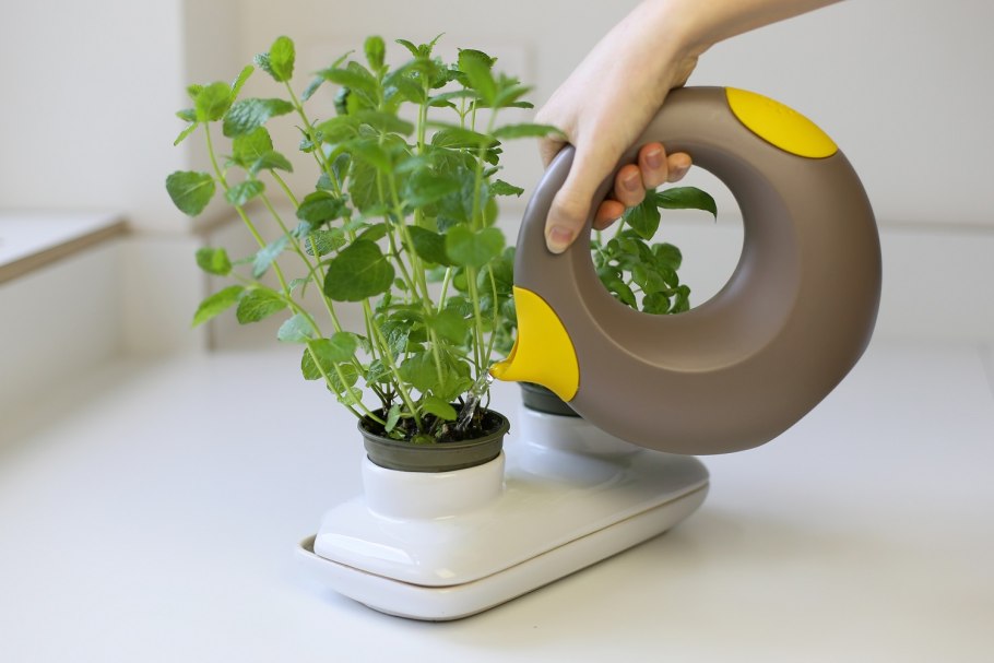 Полив комнатных растений