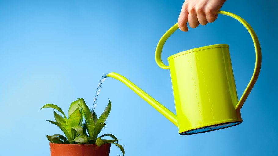 Обильный полив