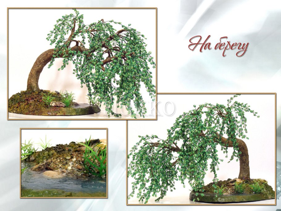 Бисерное дерево плакучая Ива