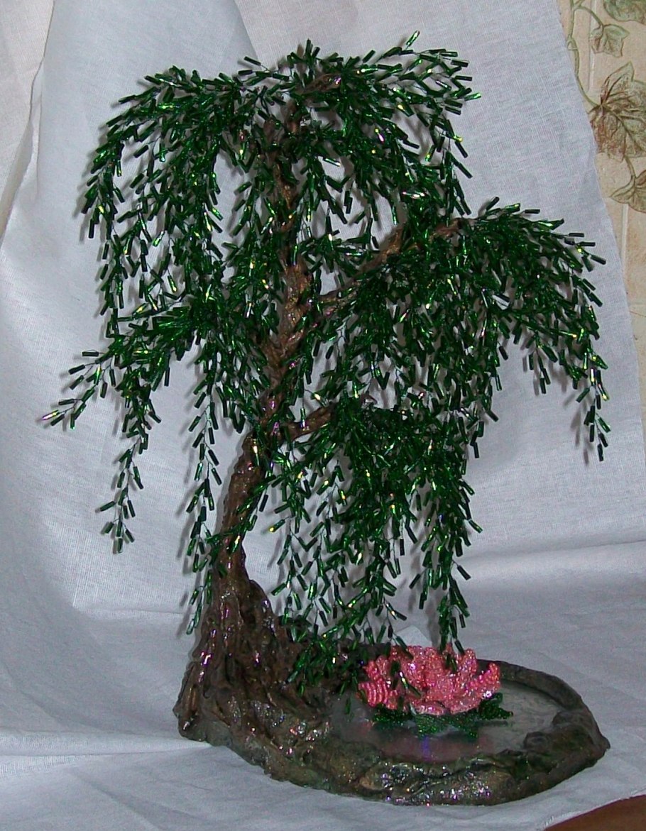 Бонсай дерево Ива