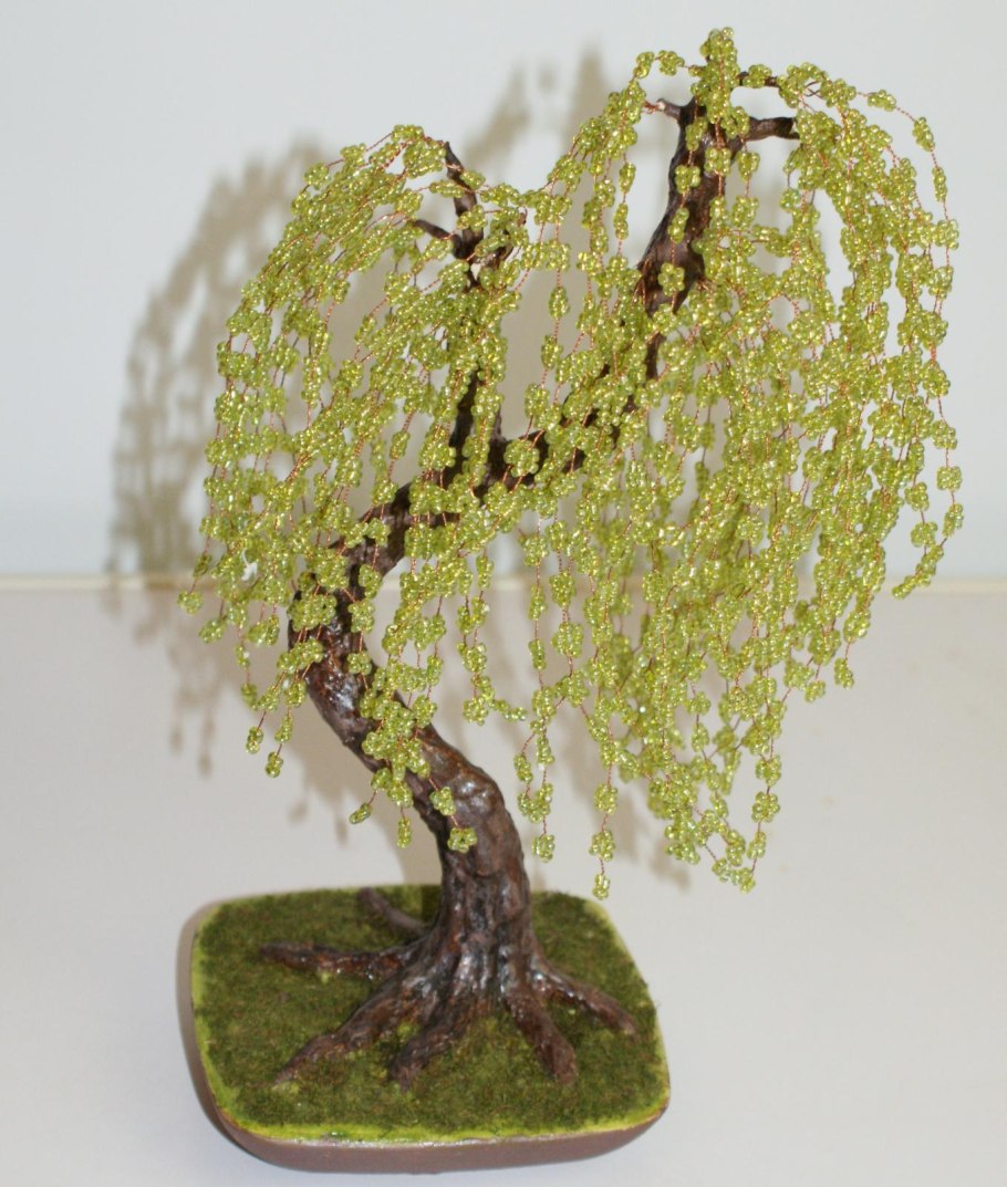 Бонсай плакучая Ива