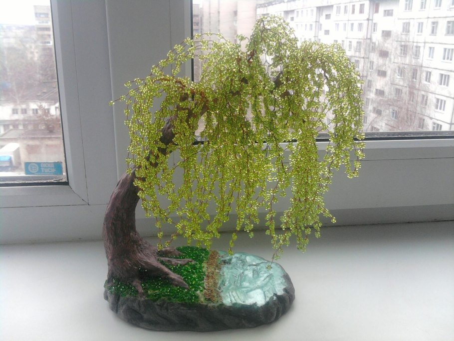 Бонсай старый