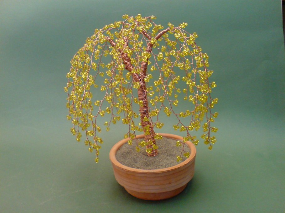 Бонсай плакучая Ива