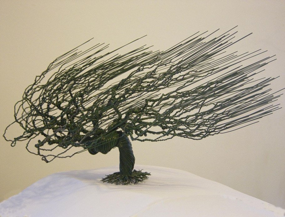 Бонсай плакучая Ива