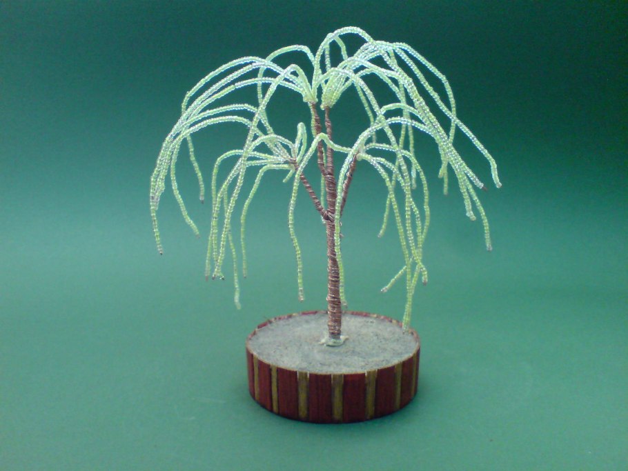 Бисерное дерево плакучая Ива