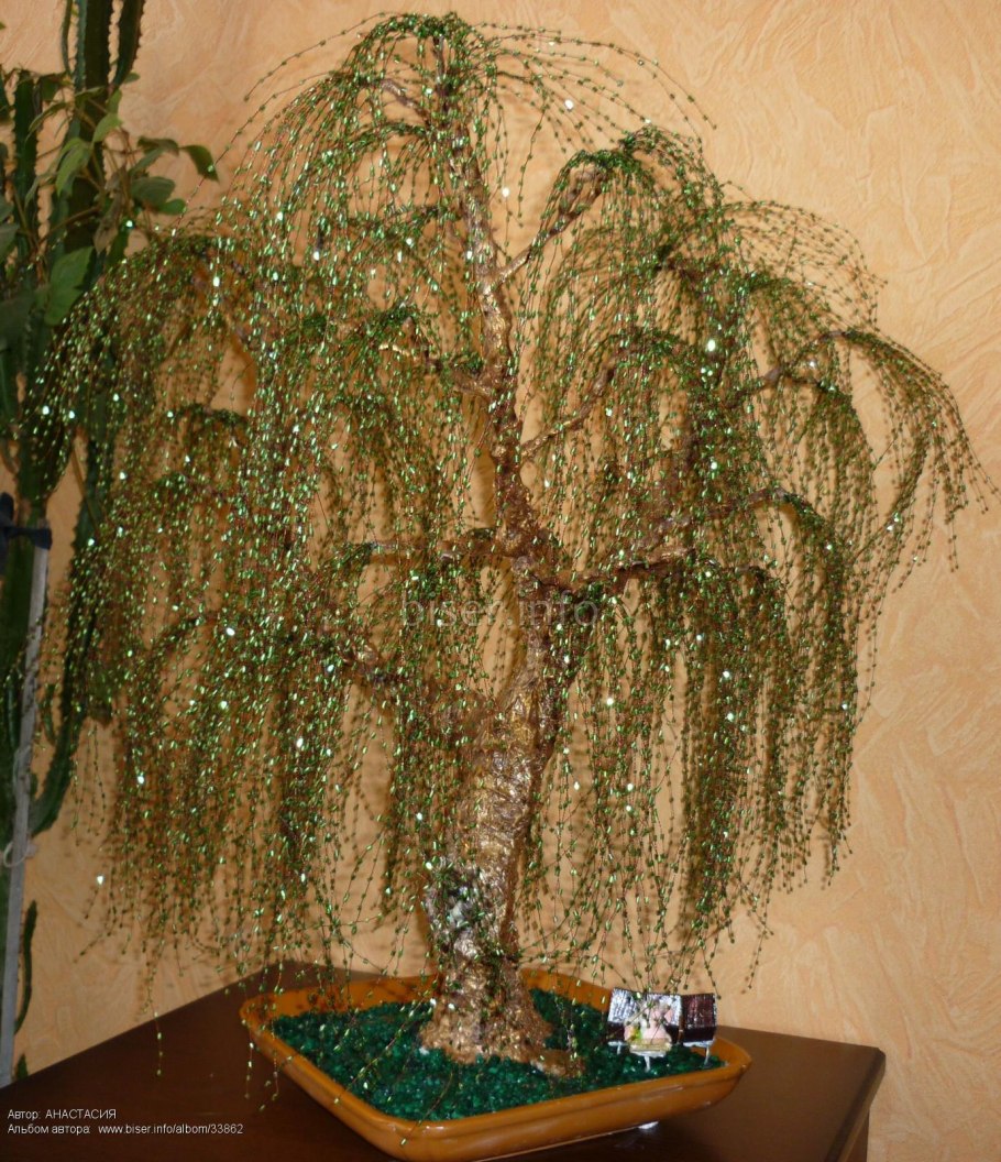 Очертания плакучей ивы