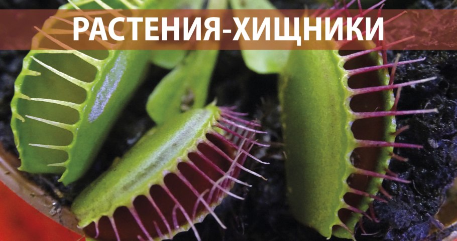 Классификация хищных растений