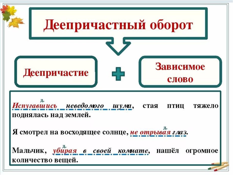 Русский язык 5 класс вопросы